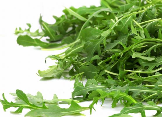 Rocket Lettuce