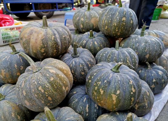 Pumpkin Seed
