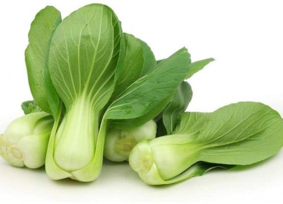 Bok Choy Cabbage