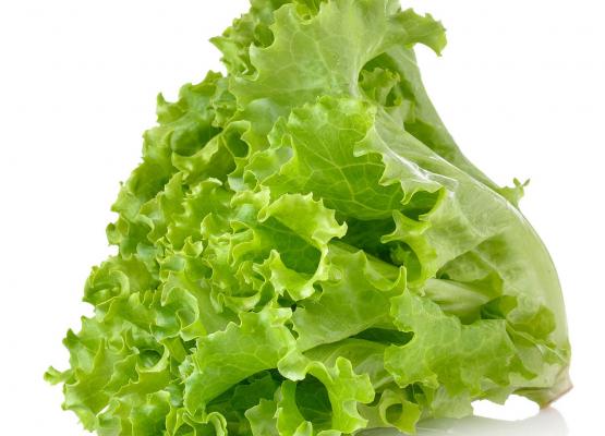 Lettuce