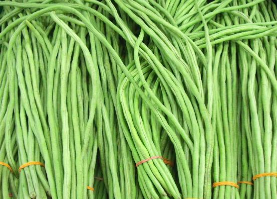 គ្រាប់ពូជសណ្តែកទ្រេីង/ Yardlong Seed