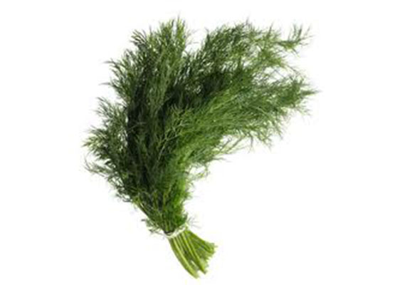 Dill Fresh