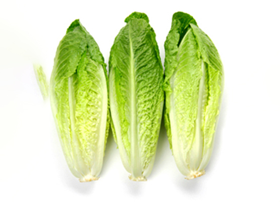 Lettuce Romaine Import