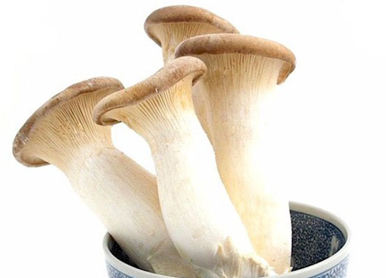 Mushroom-Chicken