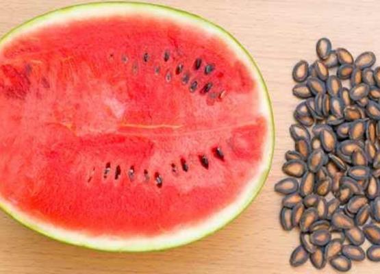 Watermelon Seed