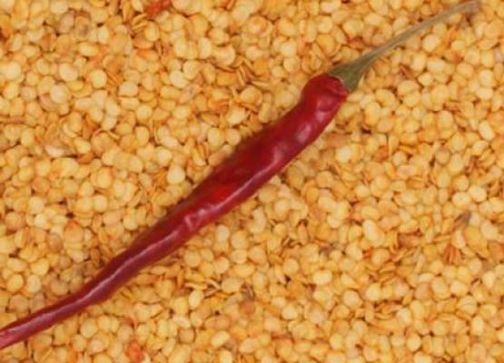 Chilli Seed