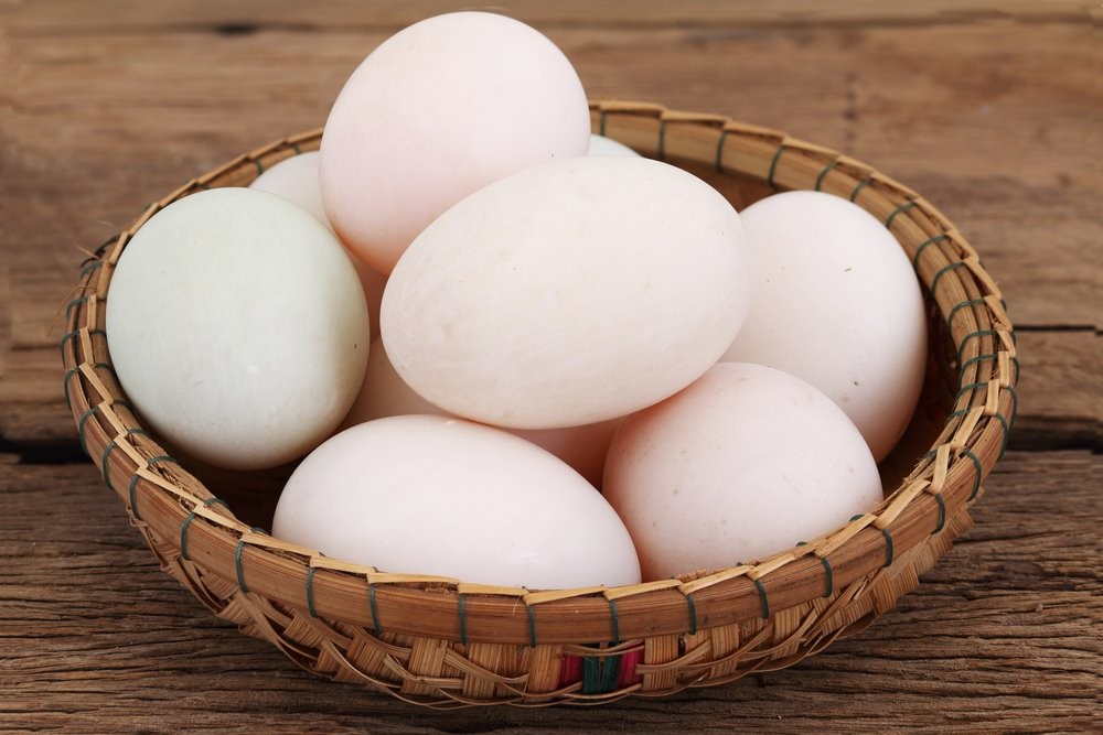 Duck Egg