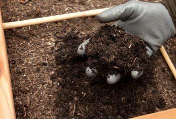 Compost 4