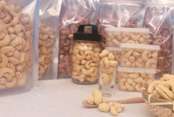 សិប្បកម្មស្វាយចន្ទី/ Cashew Nut Factory